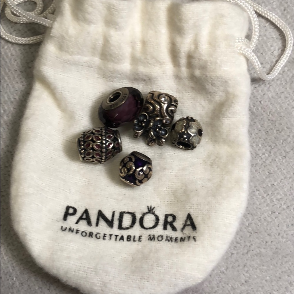 Pandora Charms